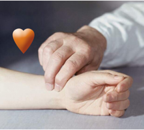 Беговая дорожка HORIZON PARAGON X