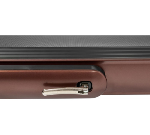 Беговая дорожка Titanium Masters Slimtech C20, коричневая