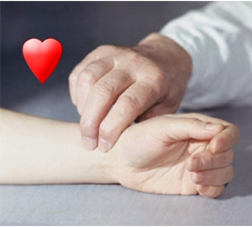 Беговая дорожка CARBON PREMIUM WORLD RUNNER T1